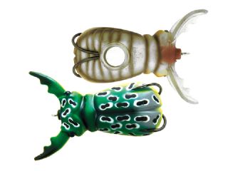 Molix Supernato Beetle Baby 5cm - 